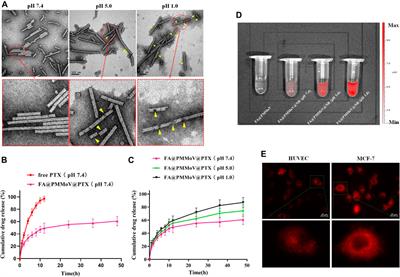 Tumor Microenvironment Responsive Pepper Mild Mottle Virus-Based Nanotubes for Targeted Delivery and Controlled Release of Paclitaxel